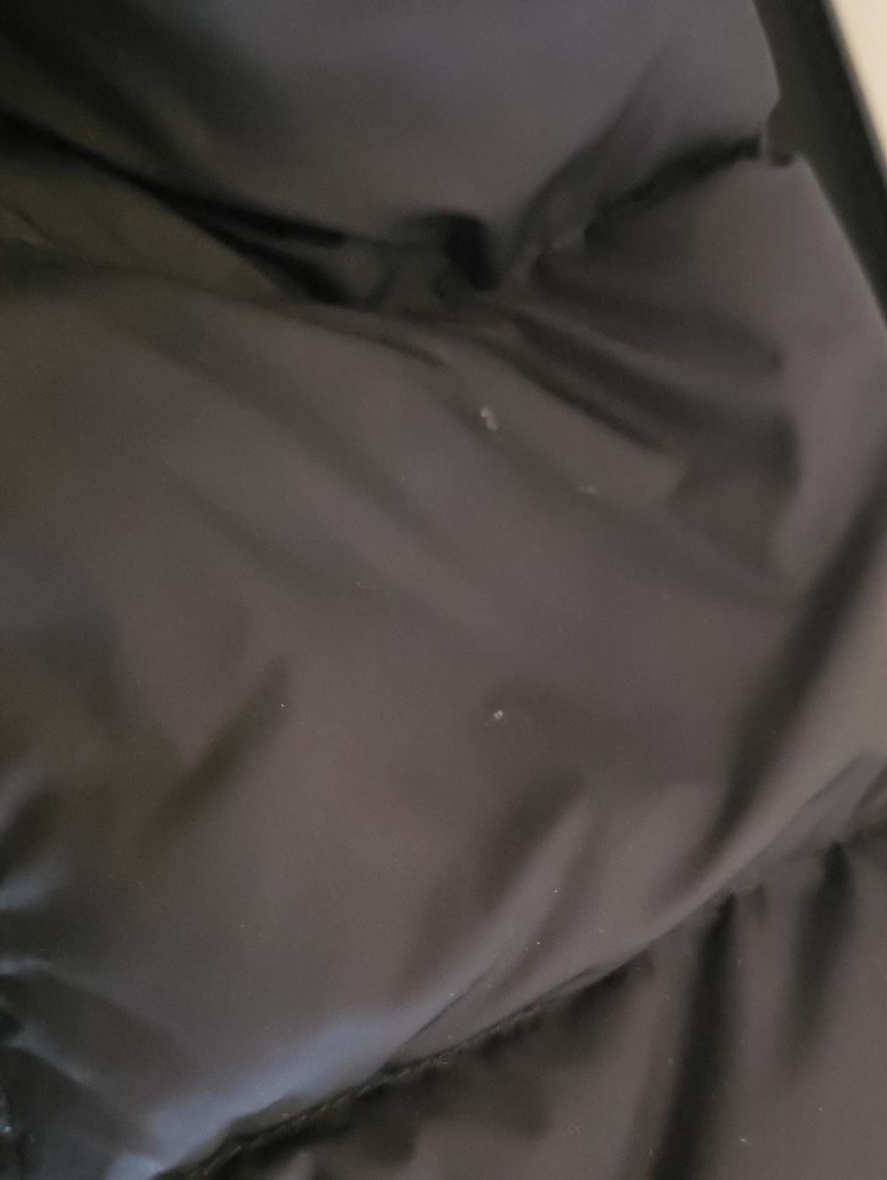Burberry Brit Quilted Puffer Coat - Picture 15 of 16